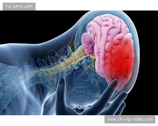 世界杯医务团队幕后揭秘 球员健康守护者的辛勤付出与挑战