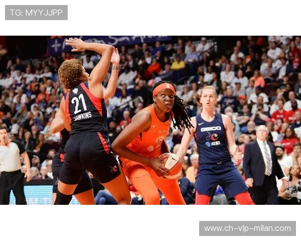 WNBA总决赛热度攀升，球迷关注度再创新高，wnba决赛赛程