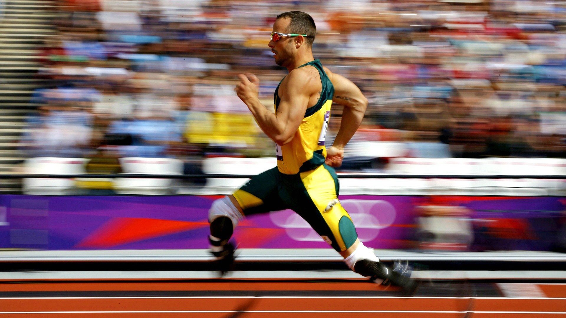 低碳环保场馆建设标准不断提高,践行绿色可持续理念,低碳环保方案