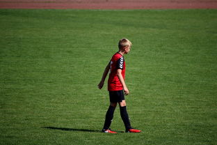 未来足球场馆将融合智能照明和环境监测系统，绿色科技引领行业